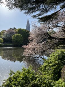 japan travel tips