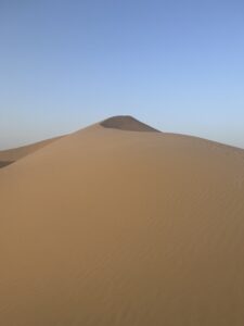 Abu Dhabi Desert