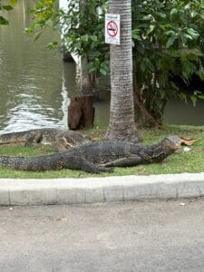 one week thailand itinerary