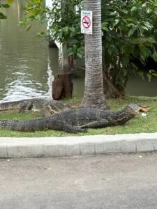 one week thailand itinerary