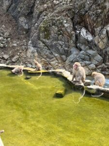 one week japan itinerary