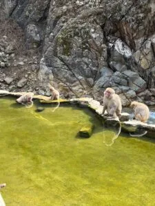 one week japan itinerary