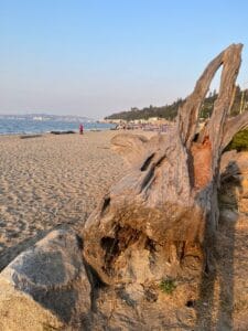 seattle itinerary