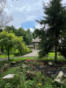 day trip to adare ireland