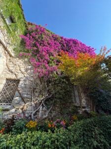 day trip to eze france from nice