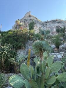 day trip to eze france from nice
